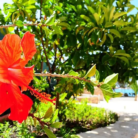 Διαμέρισμα Panagiota