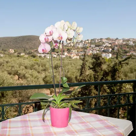 Appartement Panagiota *